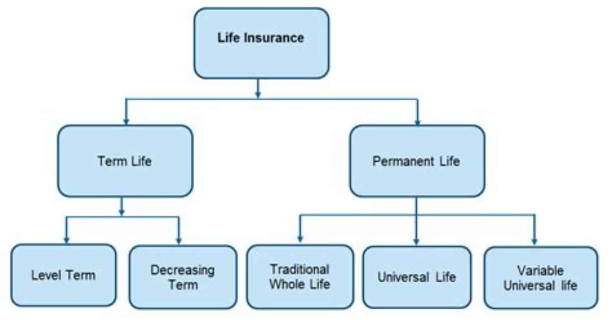 Types of Permanent Life Insurance